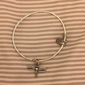 Dragon fly Alex and ani